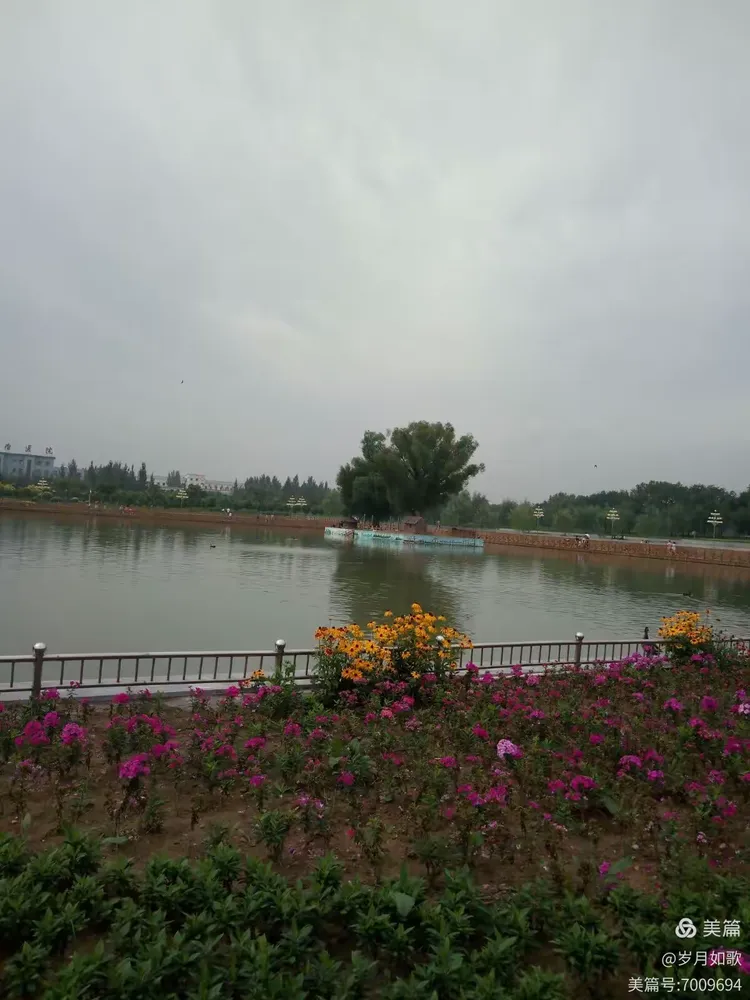 岁月留痕……大同口泉植物园